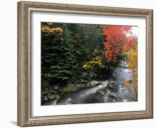 Moving Stream And Fall Colors, Groton, Vermont, USA-Bill Bachmann-Framed Photographic Print