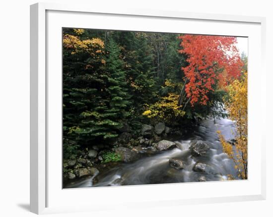 Moving Stream And Fall Colors, Groton, Vermont, USA-Bill Bachmann-Framed Photographic Print