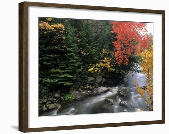 Moving Stream And Fall Colors, Groton, Vermont, USA-Bill Bachmann-Framed Photographic Print