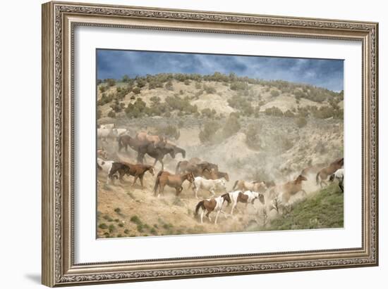 Moving the Herd-PH Burchett-Framed Premium Photographic Print