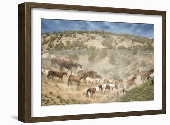 Moving the Herd-PH Burchett-Framed Premium Photographic Print