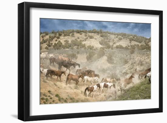 Moving the Herd-PH Burchett-Framed Premium Photographic Print