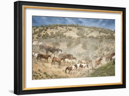 Moving the Herd-PH Burchett-Framed Premium Photographic Print