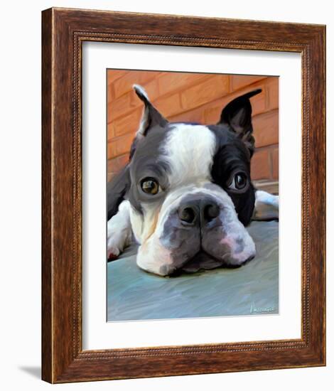 Moxley Boston Terrier-Robert Mcclintock-Framed Art Print