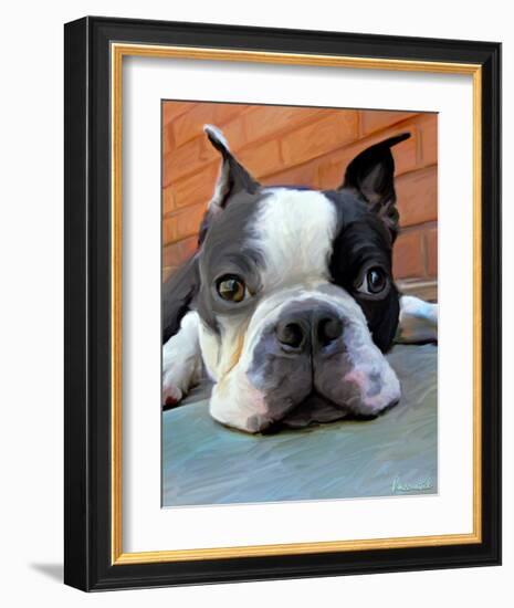 Moxley Boston Terrier-Robert Mcclintock-Framed Art Print