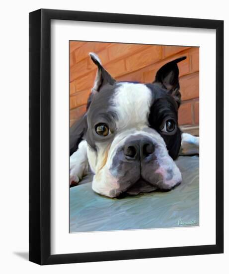 Moxley Boston Terrier-Robert Mcclintock-Framed Art Print