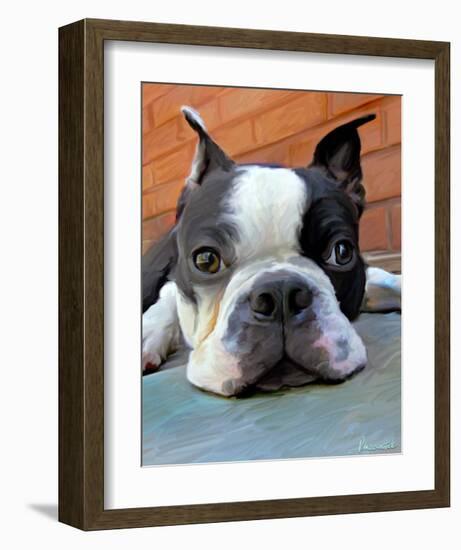 Moxley Boston Terrier-Robert Mcclintock-Framed Art Print