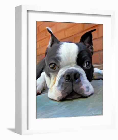 Moxley Boston Terrier-Robert Mcclintock-Framed Art Print