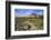 Moy Castle, Lochbuie, Isle of Mull, Inner Hebrides, Argyll and Bute, Scotland, United Kingdom-Gary Cook-Framed Photographic Print