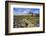 Moy Castle, Lochbuie, Isle of Mull, Inner Hebrides, Argyll and Bute, Scotland, United Kingdom-Gary Cook-Framed Photographic Print