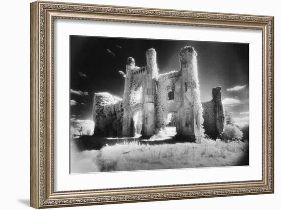 Moydrum Castle, County Westmeath, Ireland-Simon Marsden-Framed Giclee Print