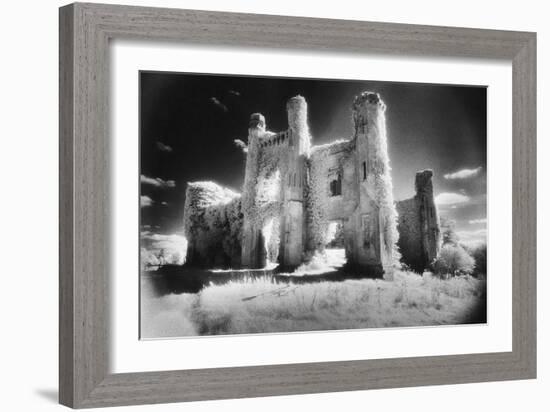 Moydrum Castle, County Westmeath, Ireland-Simon Marsden-Framed Giclee Print