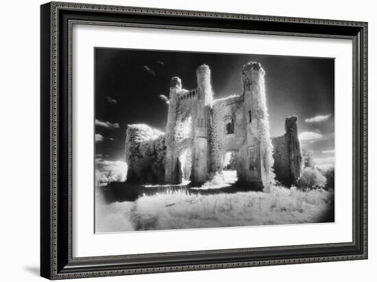 Moydrum Castle, County Westmeath, Ireland-Simon Marsden-Framed Giclee Print