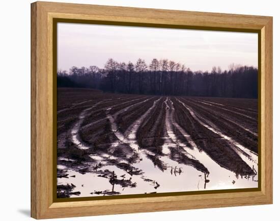 Moyland - Niederrhein - Germany-Florian Monheim/Bildarchiv-Monheim-Framed Premier Image Canvas