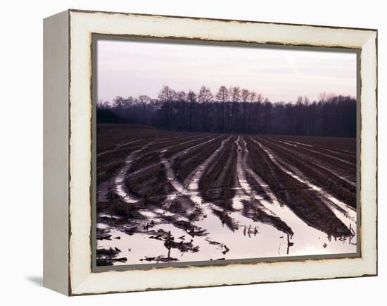 Moyland - Niederrhein - Germany-Florian Monheim/Bildarchiv-Monheim-Framed Premier Image Canvas