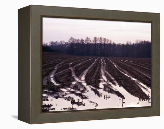 Moyland - Niederrhein - Germany-Florian Monheim/Bildarchiv-Monheim-Framed Premier Image Canvas