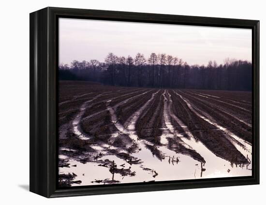 Moyland - Niederrhein - Germany-Florian Monheim/Bildarchiv-Monheim-Framed Premier Image Canvas