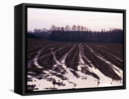 Moyland - Niederrhein - Germany-Florian Monheim/Bildarchiv-Monheim-Framed Premier Image Canvas