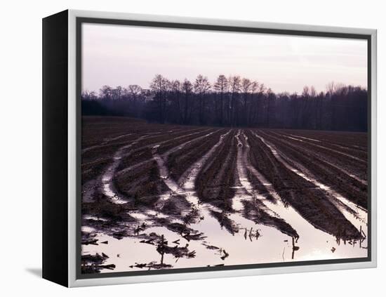 Moyland - Niederrhein - Germany-Florian Monheim/Bildarchiv-Monheim-Framed Premier Image Canvas