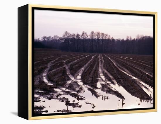 Moyland - Niederrhein - Germany-Florian Monheim/Bildarchiv-Monheim-Framed Premier Image Canvas