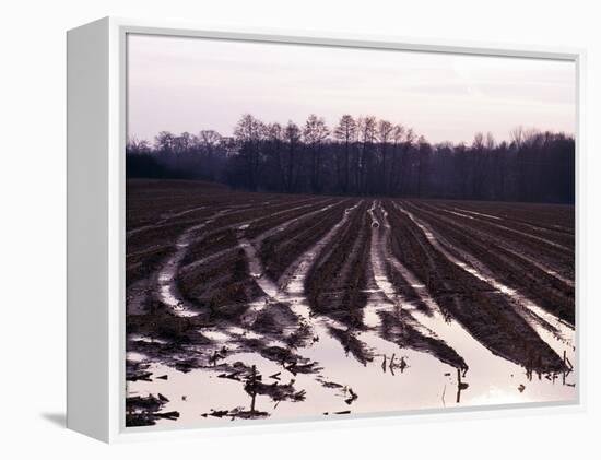 Moyland - Niederrhein - Germany-Florian Monheim/Bildarchiv-Monheim-Framed Premier Image Canvas