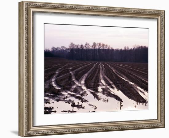 Moyland - Niederrhein - Germany-Florian Monheim/Bildarchiv-Monheim-Framed Photographic Print