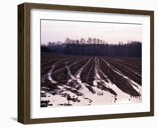 Moyland - Niederrhein - Germany-Florian Monheim/Bildarchiv-Monheim-Framed Photographic Print