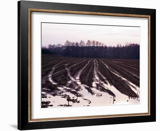 Moyland - Niederrhein - Germany-Florian Monheim/Bildarchiv-Monheim-Framed Photographic Print