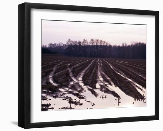 Moyland - Niederrhein - Germany-Florian Monheim/Bildarchiv-Monheim-Framed Photographic Print