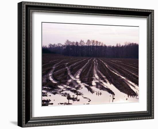 Moyland - Niederrhein - Germany-Florian Monheim/Bildarchiv-Monheim-Framed Photographic Print