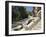 Mozaic Lizard Sculpture by Gaudi, Guell Park, Barcelona, Catalonia, Spain, Europe-Ken Gillham-Framed Photographic Print