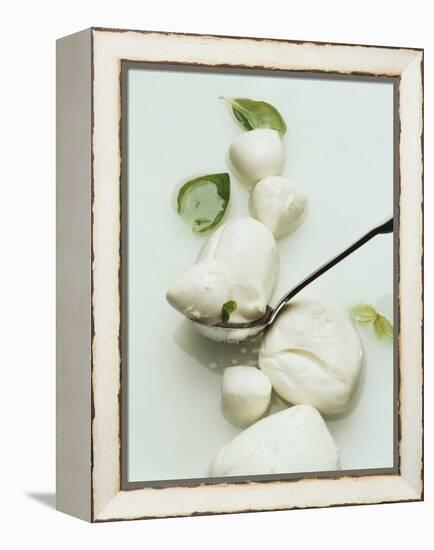 Mozzarella and Fresh Basil-Luzia Ellert-Framed Premier Image Canvas