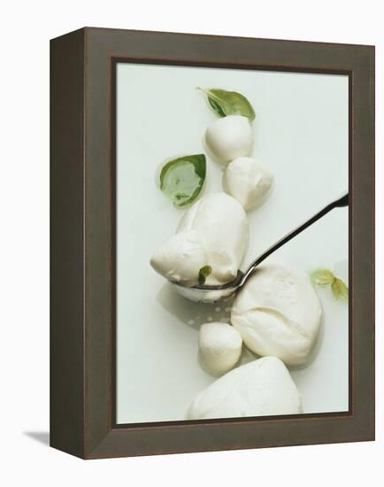 Mozzarella and Fresh Basil-Luzia Ellert-Framed Premier Image Canvas