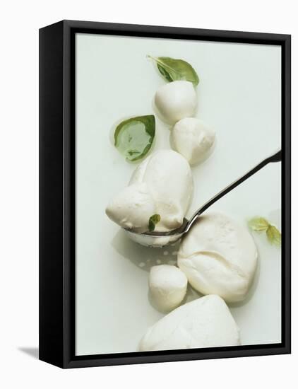 Mozzarella and Fresh Basil-Luzia Ellert-Framed Premier Image Canvas