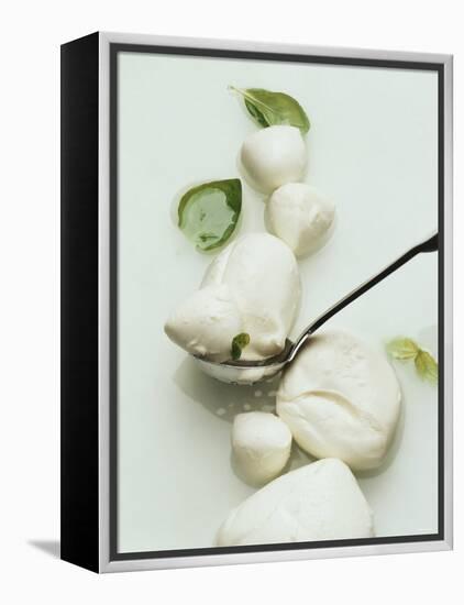 Mozzarella and Fresh Basil-Luzia Ellert-Framed Premier Image Canvas