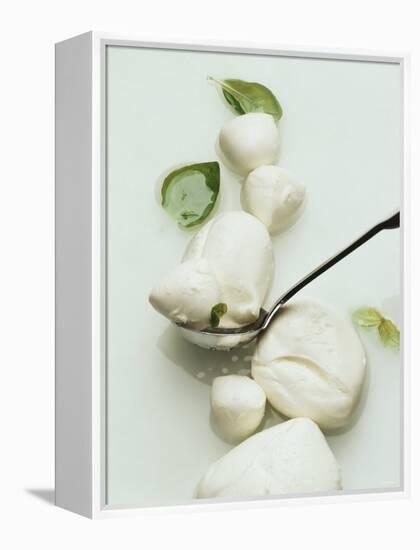 Mozzarella and Fresh Basil-Luzia Ellert-Framed Premier Image Canvas