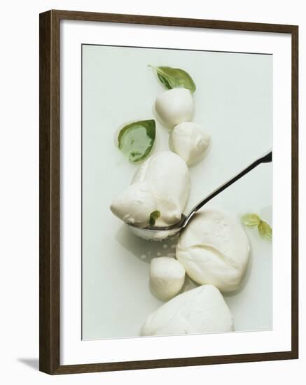 Mozzarella and Fresh Basil-Luzia Ellert-Framed Photographic Print