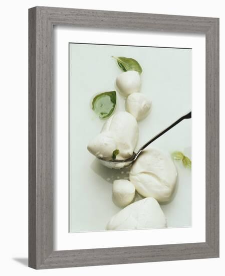 Mozzarella and Fresh Basil-Luzia Ellert-Framed Photographic Print