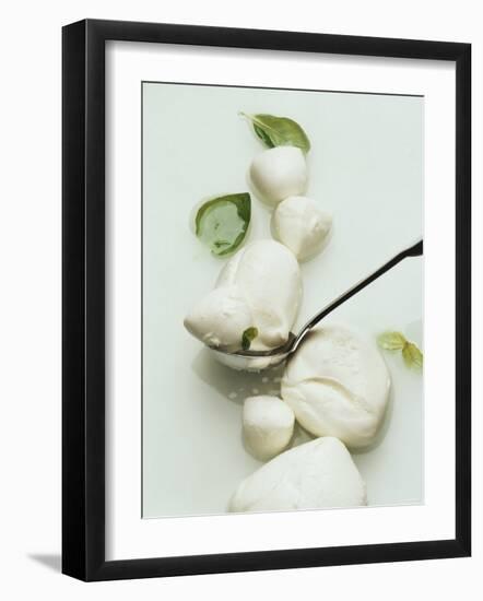 Mozzarella and Fresh Basil-Luzia Ellert-Framed Photographic Print