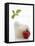 Mozzarella in Beaker, Tomato and Basil-Marc O^ Finley-Framed Premier Image Canvas