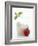 Mozzarella in Beaker, Tomato and Basil-Marc O^ Finley-Framed Photographic Print