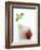 Mozzarella in Beaker, Tomato and Basil-Marc O^ Finley-Framed Photographic Print
