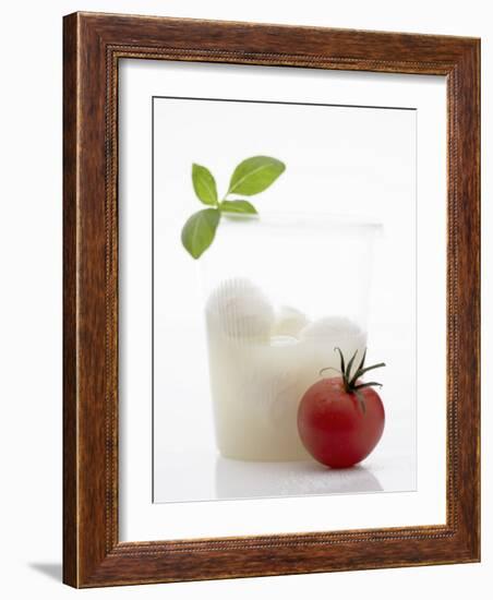 Mozzarella in Beaker, Tomato and Basil-Marc O^ Finley-Framed Photographic Print