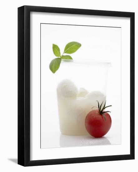 Mozzarella in Beaker, Tomato and Basil-Marc O^ Finley-Framed Photographic Print