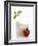 Mozzarella in Beaker, Tomato and Basil-Marc O^ Finley-Framed Photographic Print