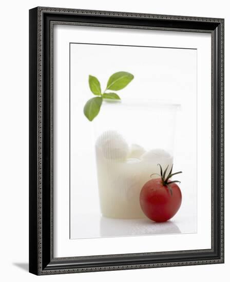 Mozzarella in Beaker, Tomato and Basil-Marc O^ Finley-Framed Photographic Print