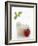 Mozzarella in Beaker, Tomato and Basil-Marc O^ Finley-Framed Photographic Print