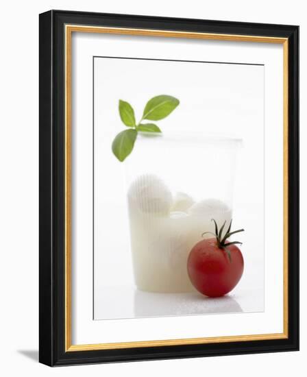 Mozzarella in Beaker, Tomato and Basil-Marc O^ Finley-Framed Photographic Print