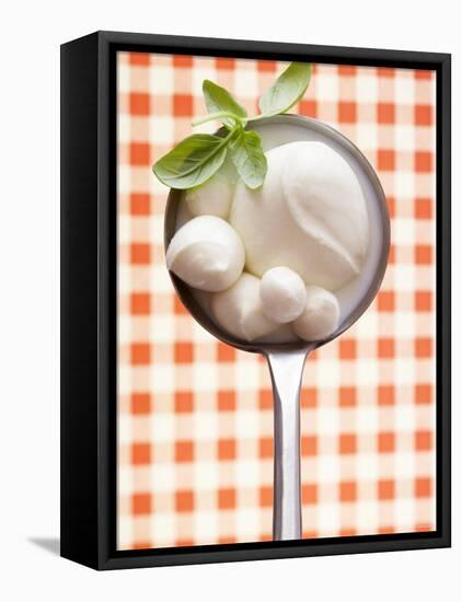 Mozzarella with Basil in Ladle-Marc O^ Finley-Framed Premier Image Canvas
