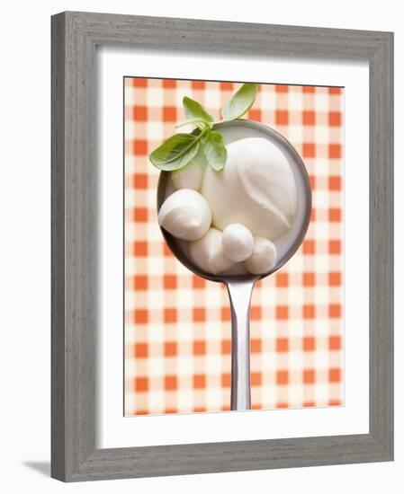 Mozzarella with Basil in Ladle-Marc O^ Finley-Framed Photographic Print